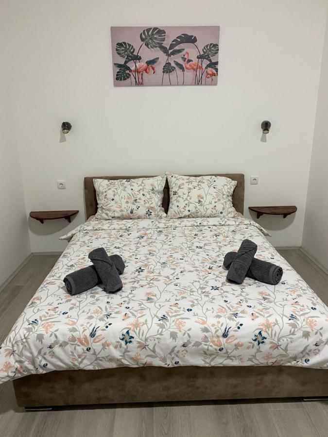Lotus House Apartment Zrenjanin Luaran gambar