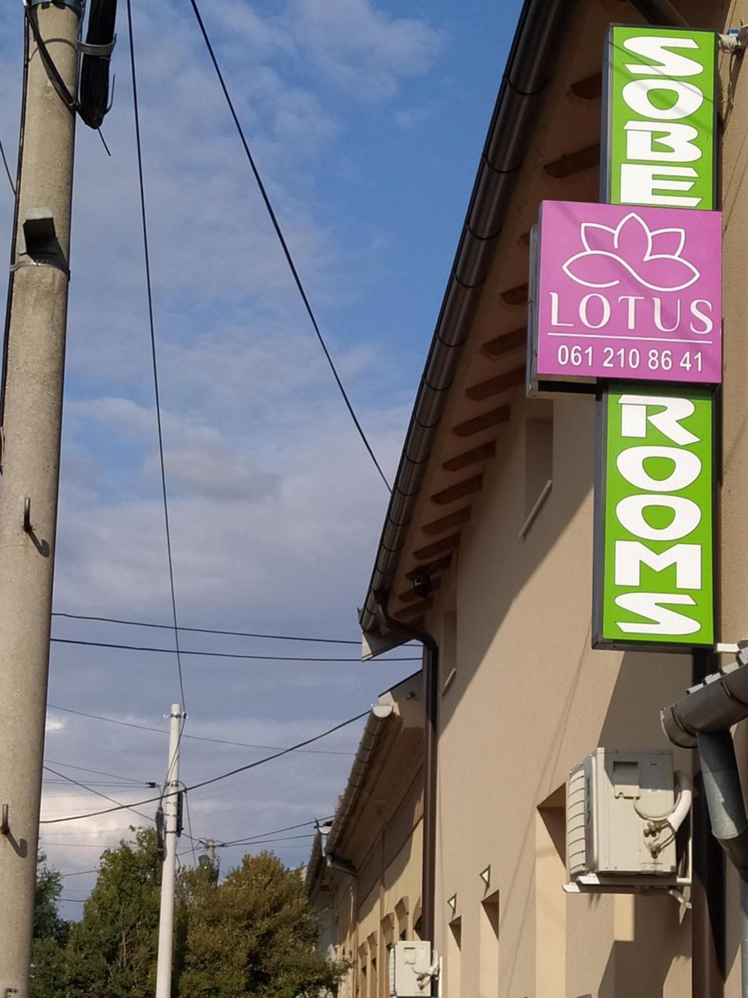Lotus House Apartment Zrenjanin Luaran gambar